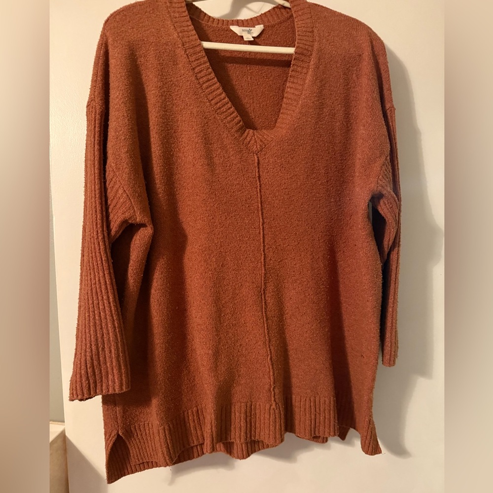 Terra & Sky Rust V-Neck Tunic Sweater